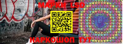 стафф Новоалександровск