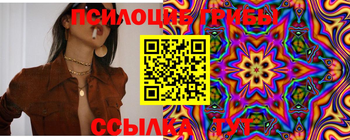 Псилоцибиновые грибы мицелий Гурьевск
